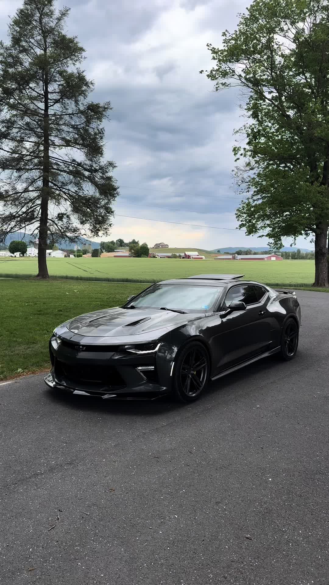 @LT1._ED
