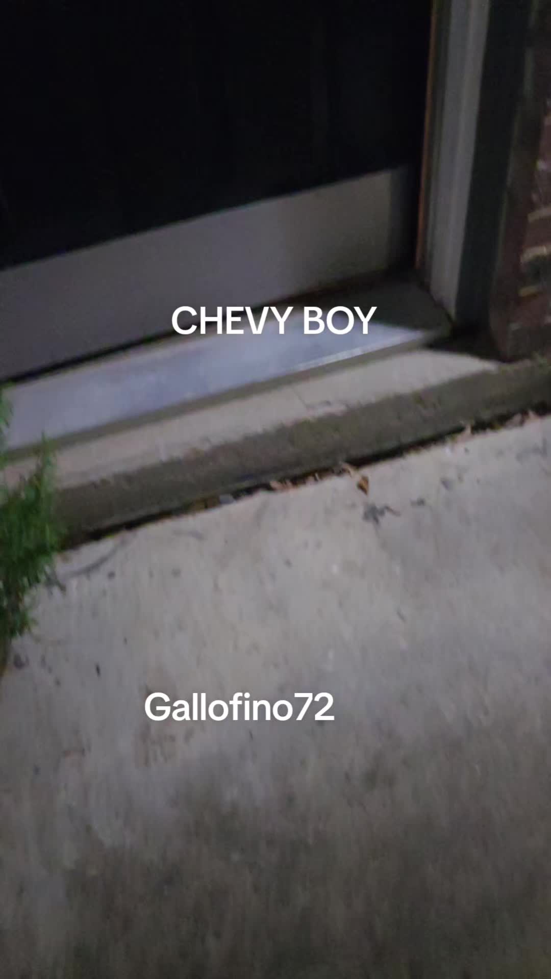 @ElGalloFino