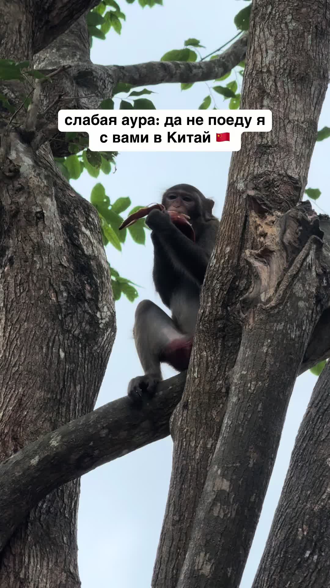 @Кристина