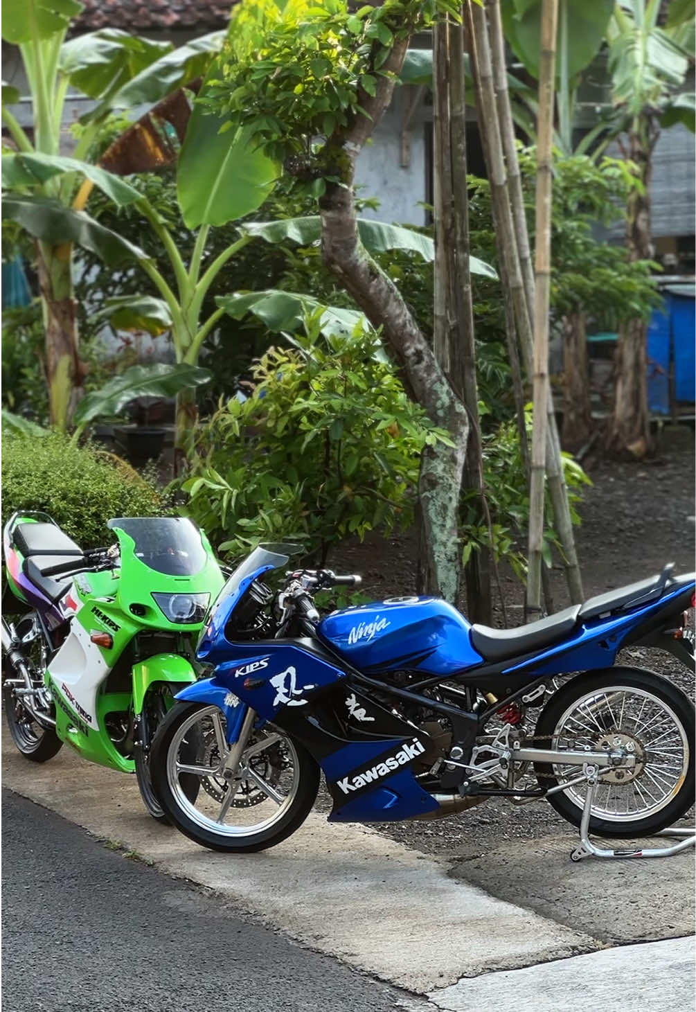 @Fauzan Pambudi