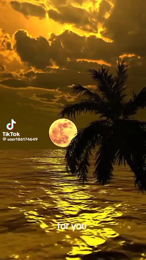 @farnazdeura2424