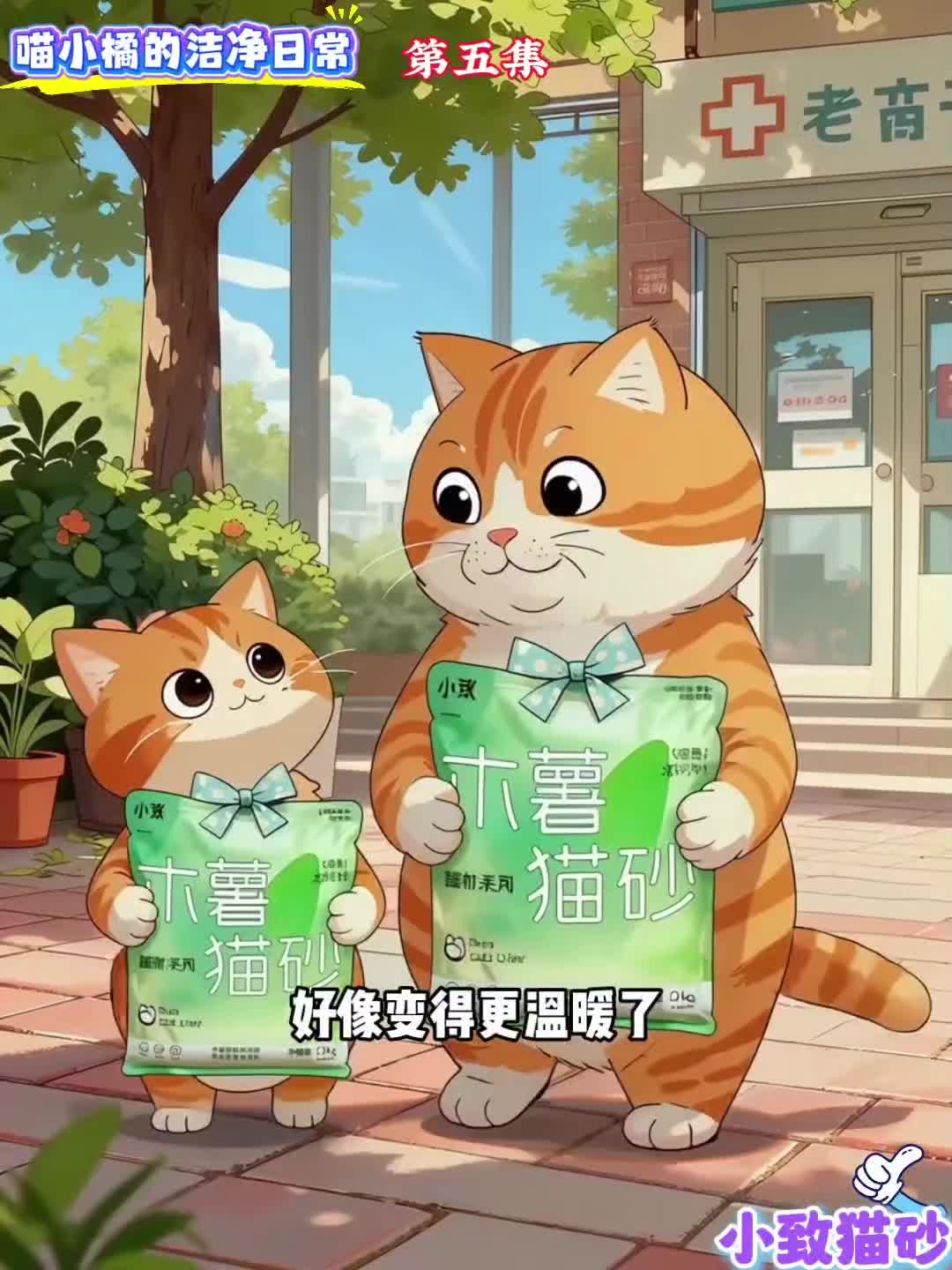 @小致猫砂国内外招代理商