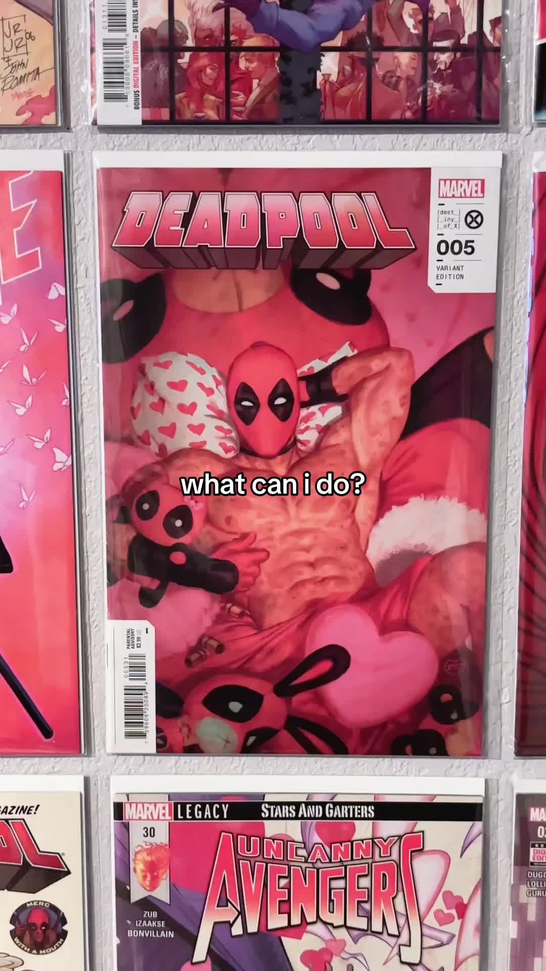 @kat🐞