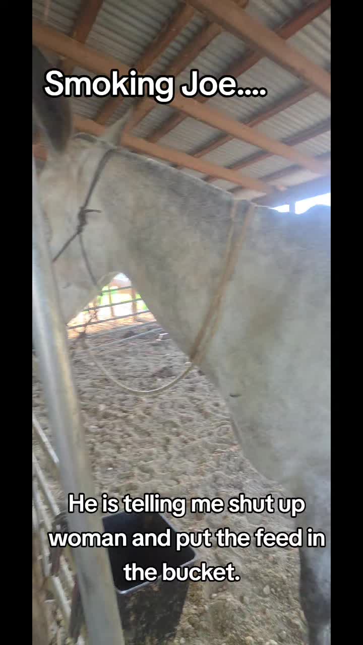 @CactusLMules