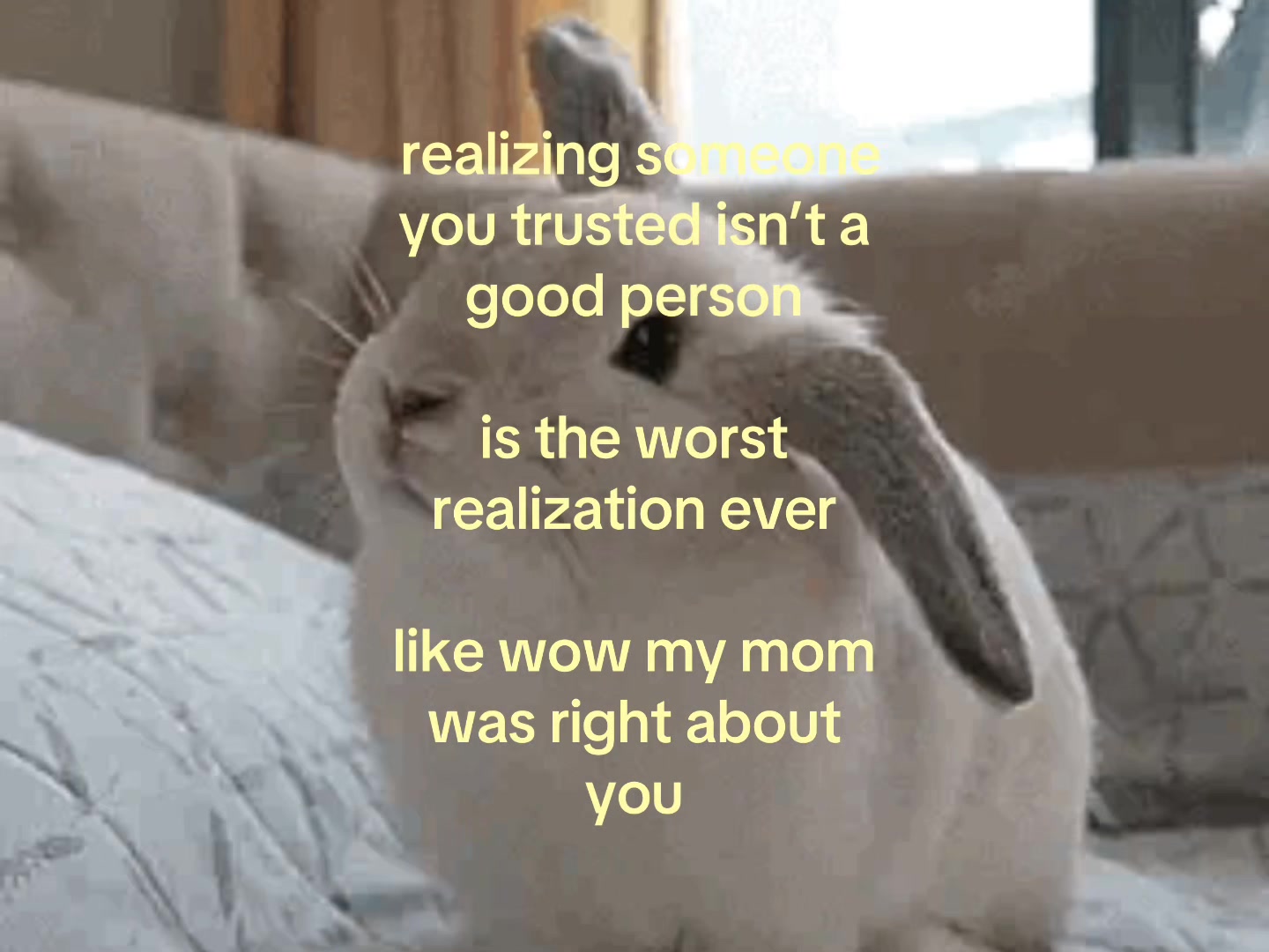 @❀