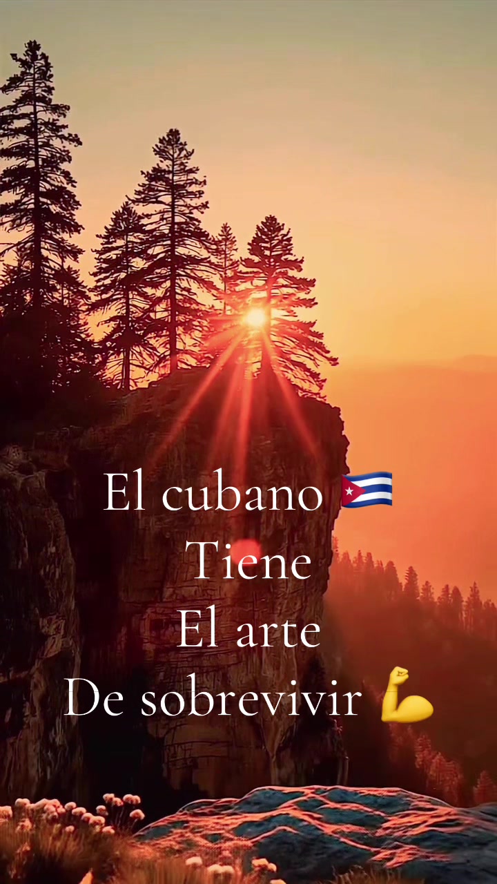 @🇨🇺Loba Solitaria🎤🎼🦋🐺🩸
