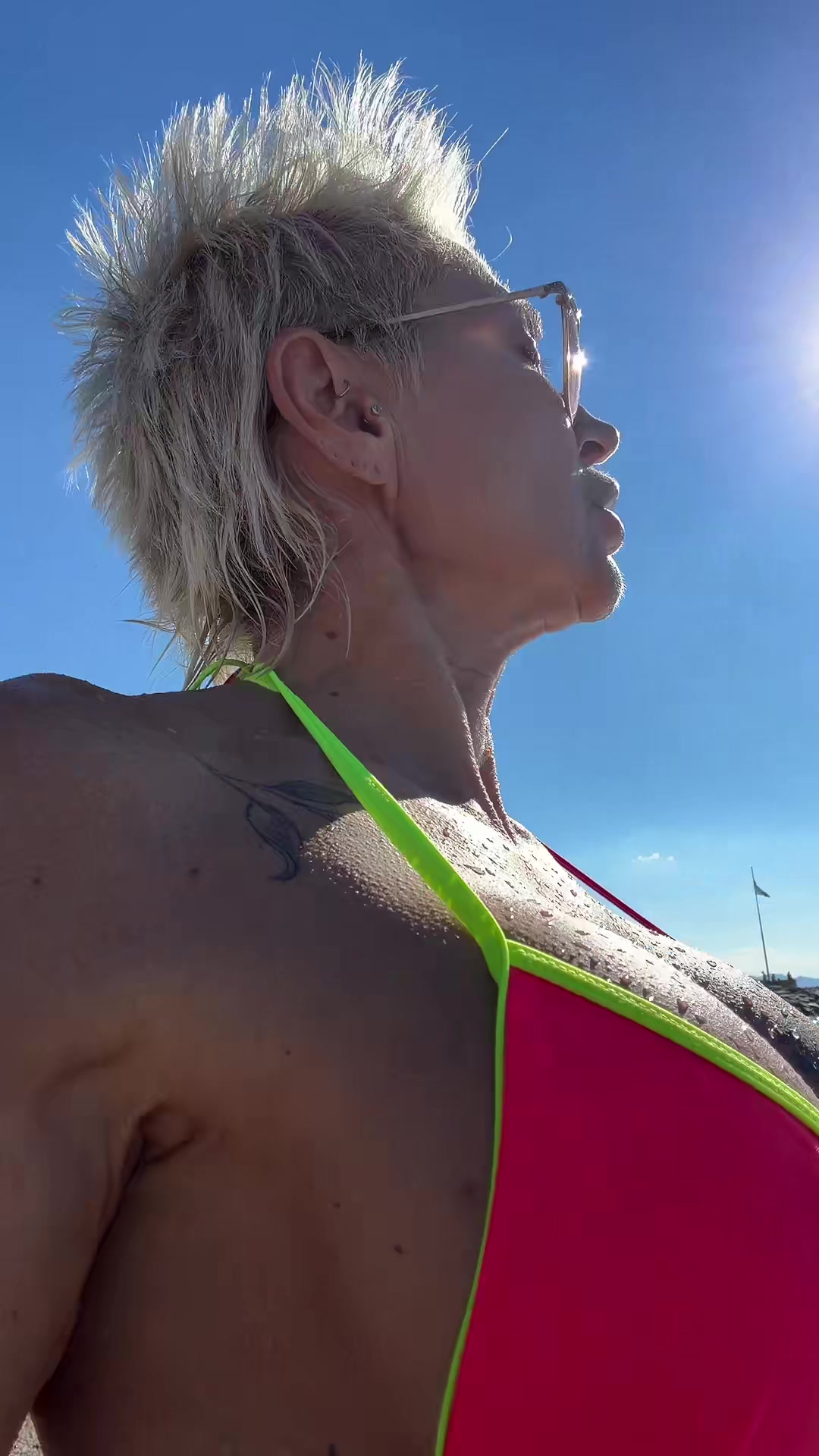 @stellaFitPro