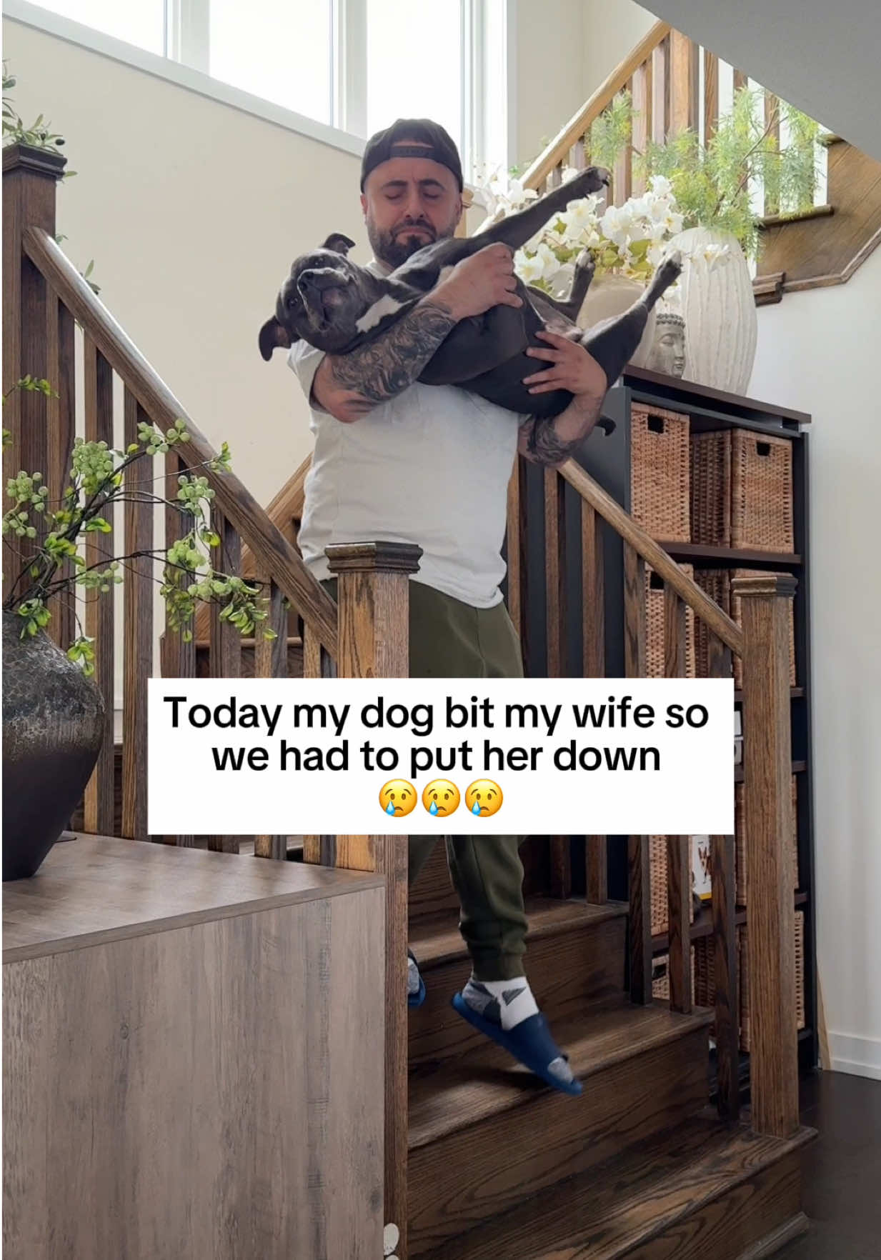@Luna The Pittie