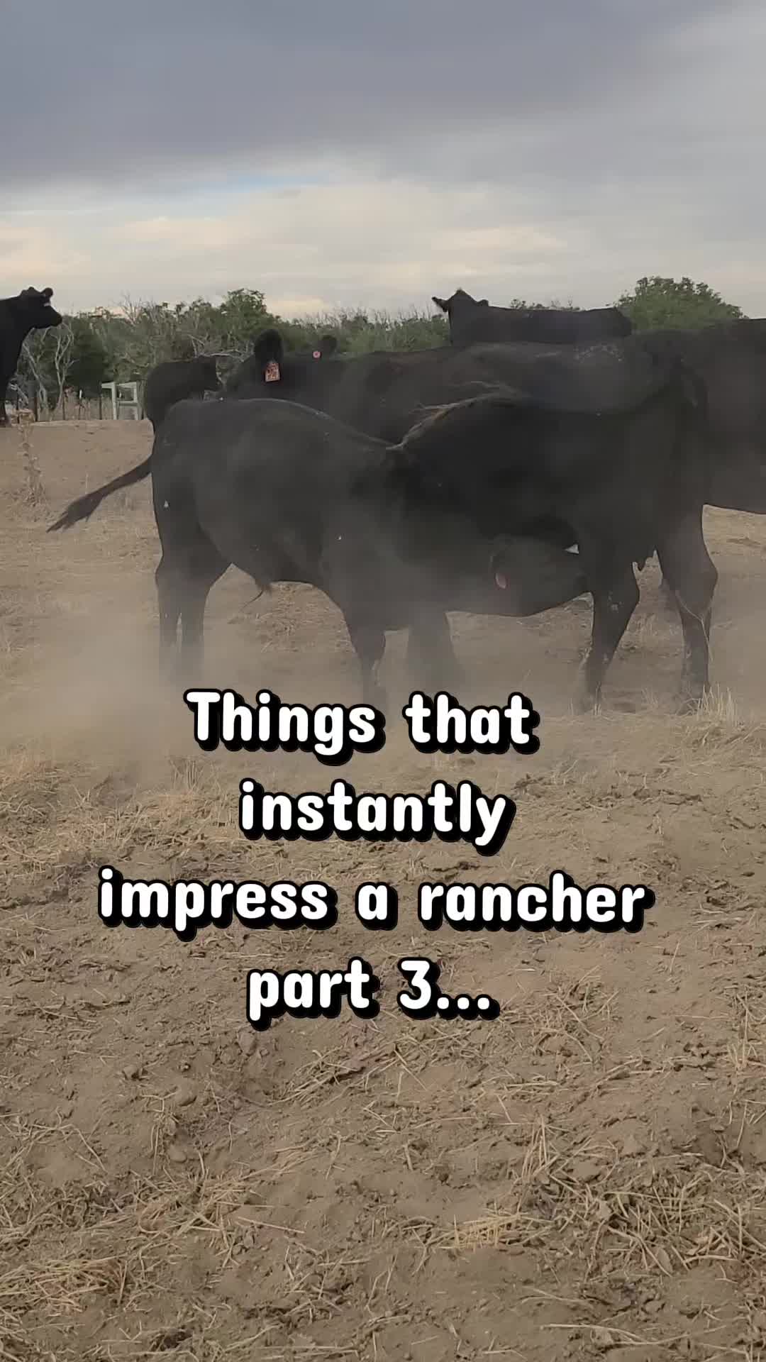 @ARanchersWife