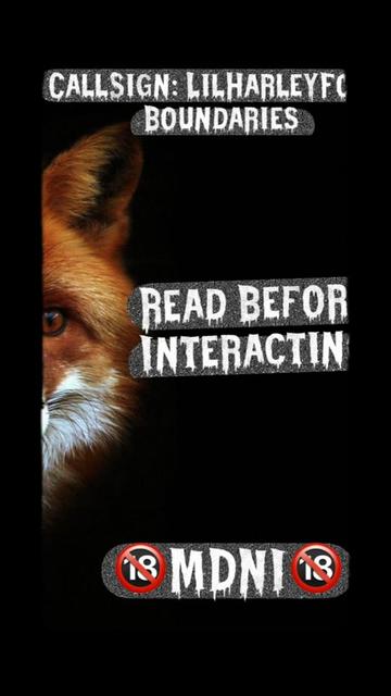 @🦊🔥Callsign: LilHarleyFox👑🐾