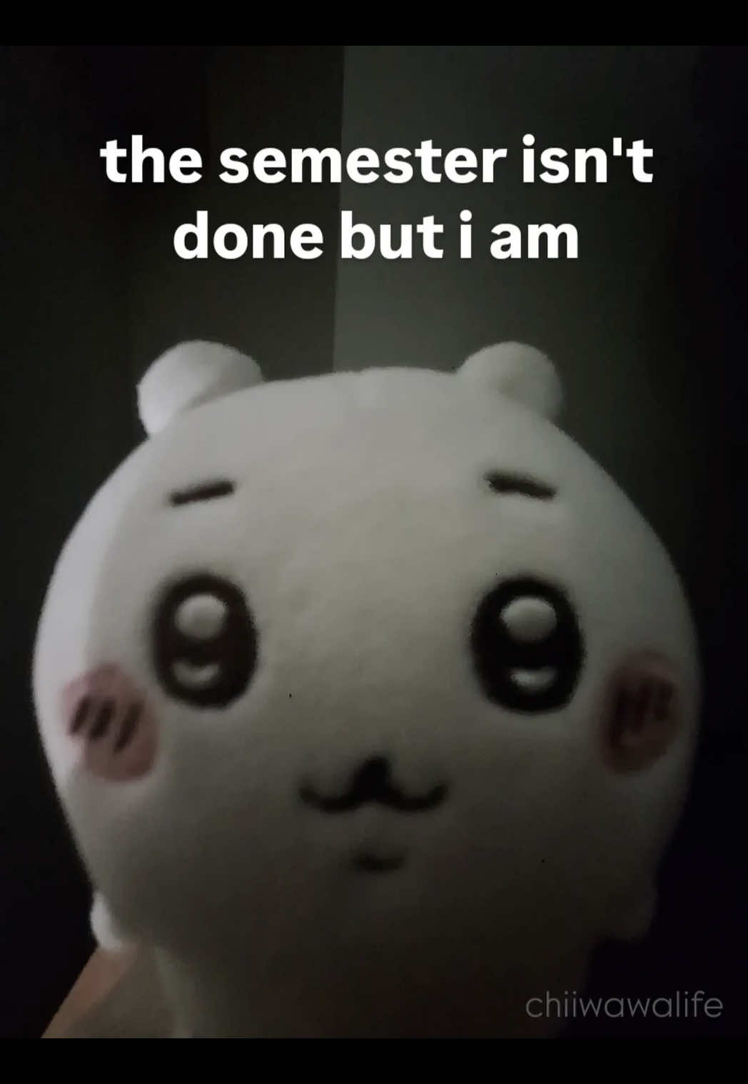 @alison🪽