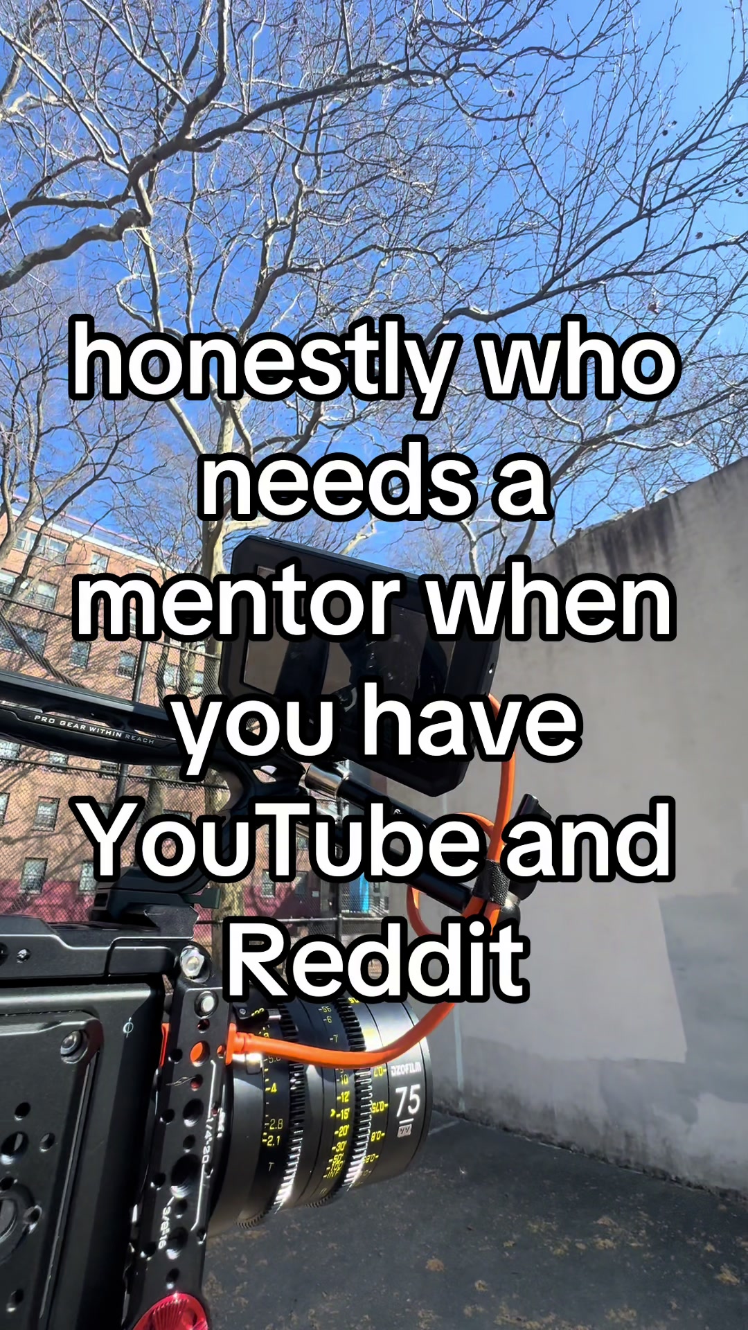 @tripzy