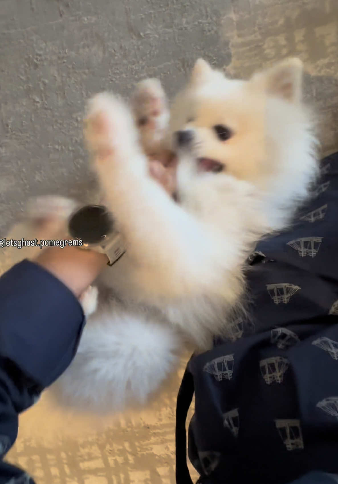 @G H O S T TheRunnerPom