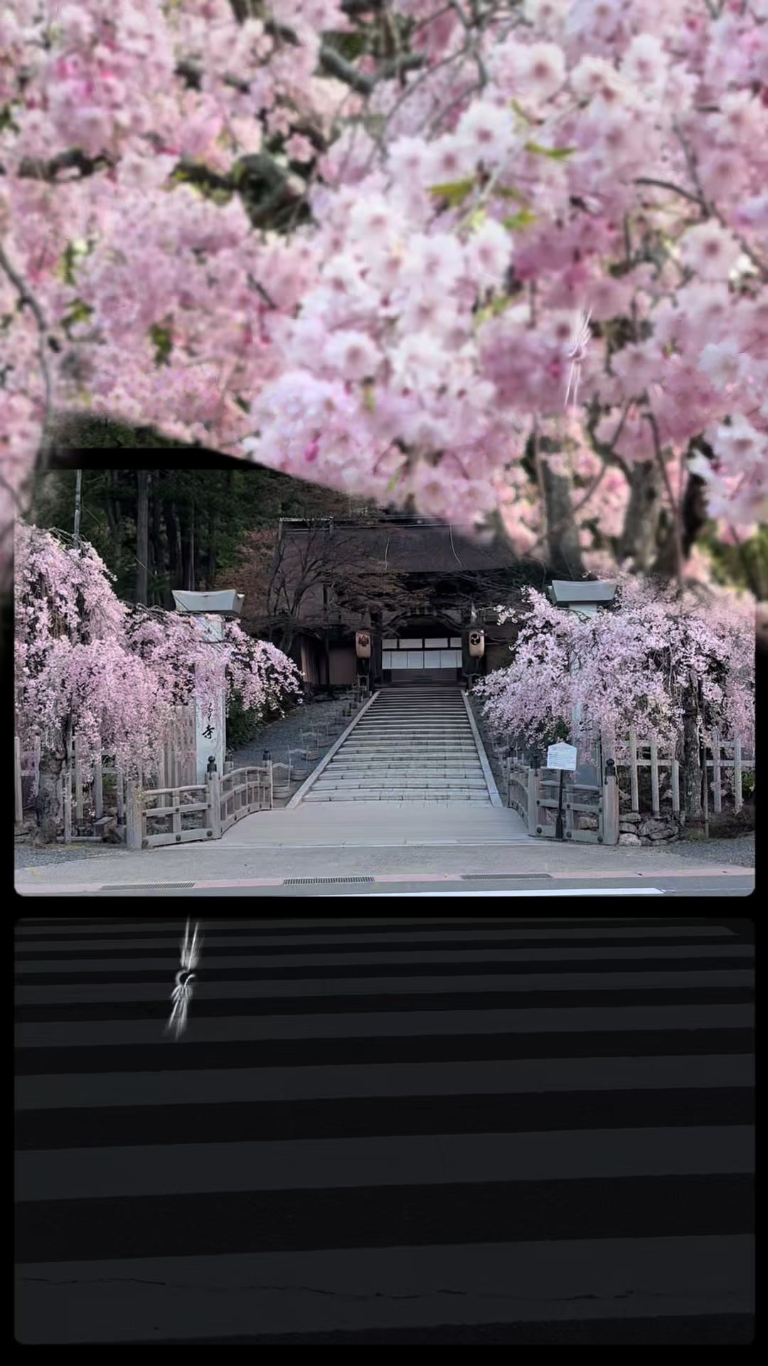 @Kōyaの秀ジィ🦊🐾