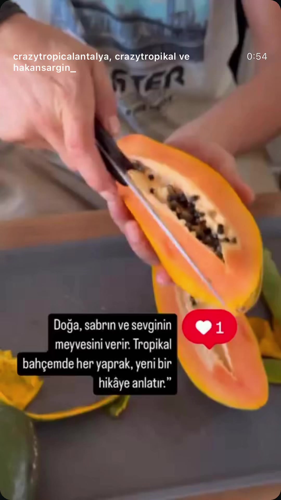 @Crayz tropikalantalya
