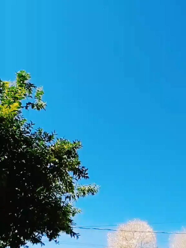 @Nico Fernandes 88