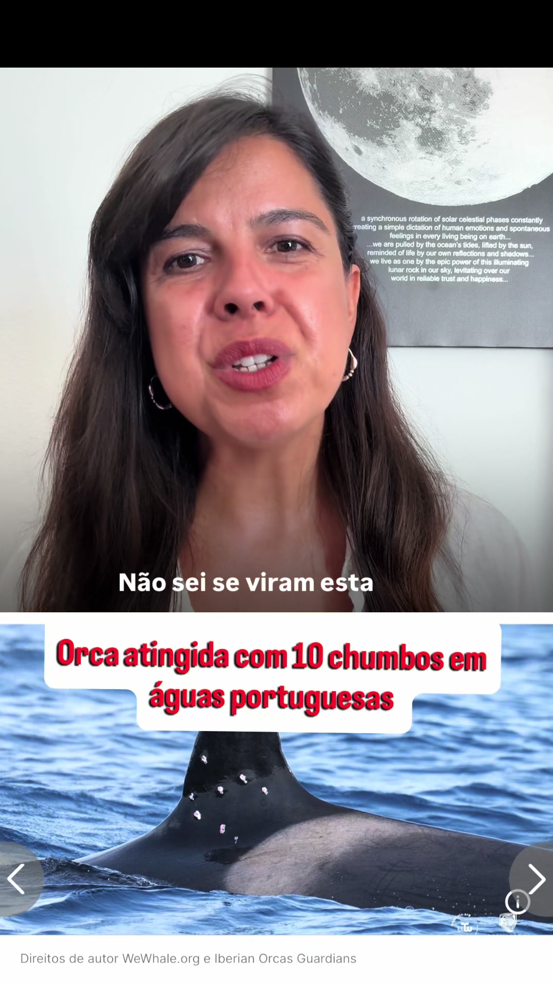 @Inês Sousa Real