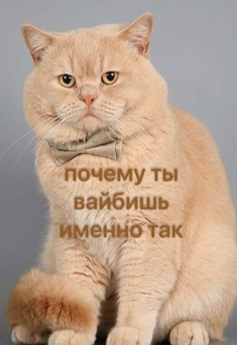 @мамин хep