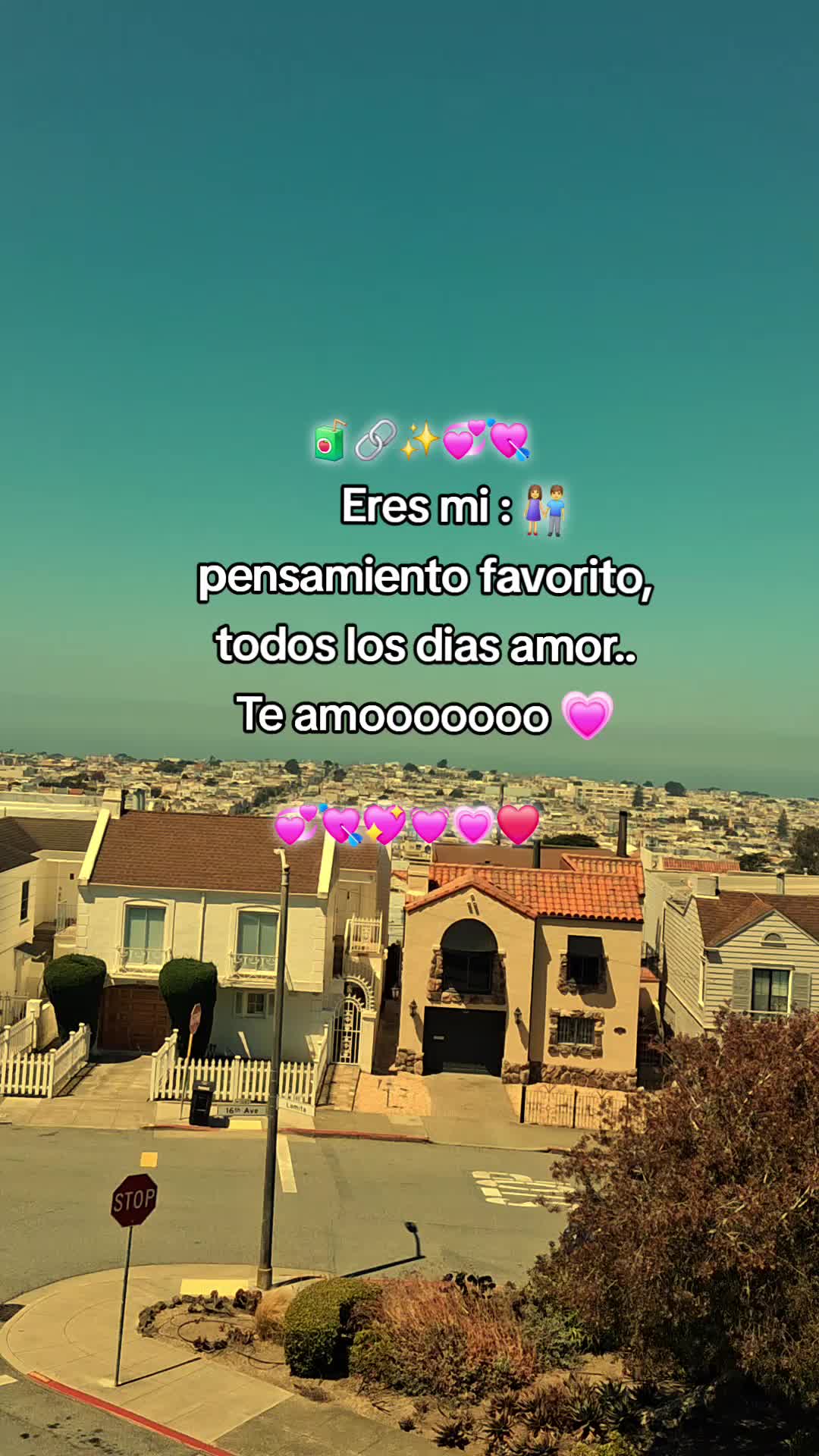 @✨️🧸fraces ✨️🧸