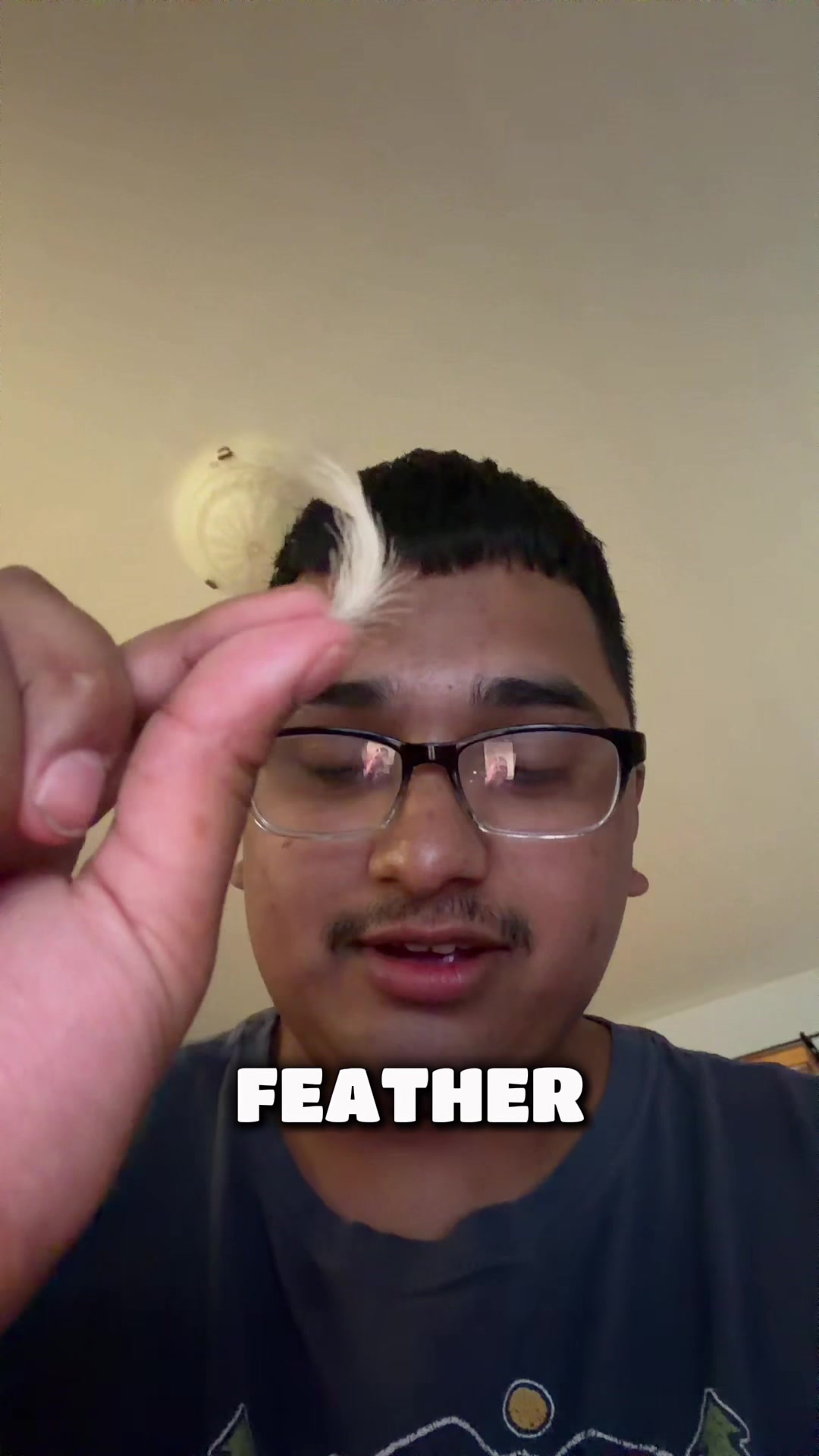 @docdoccy2.0
