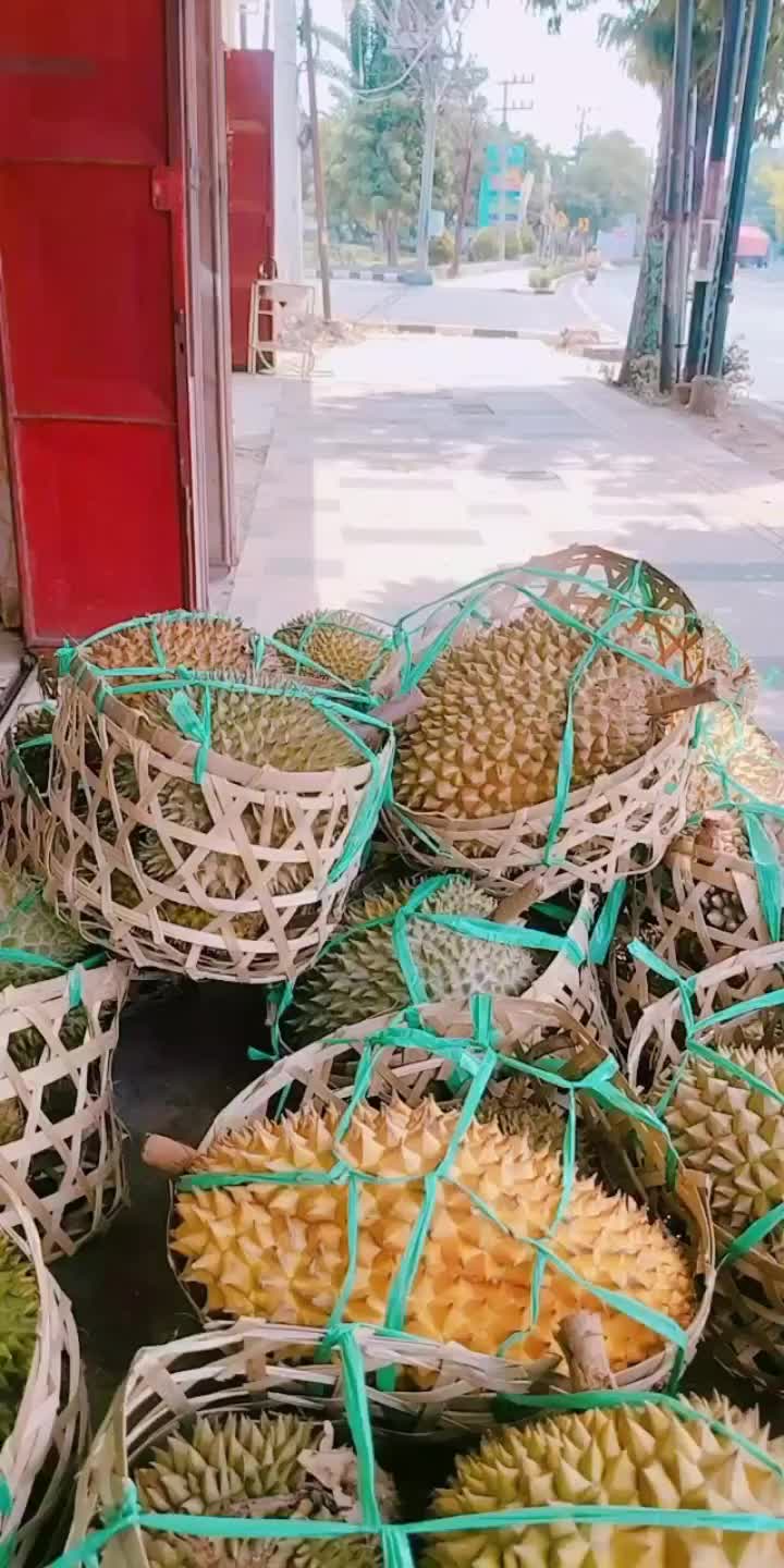 @Kenzhi Durian Tuban