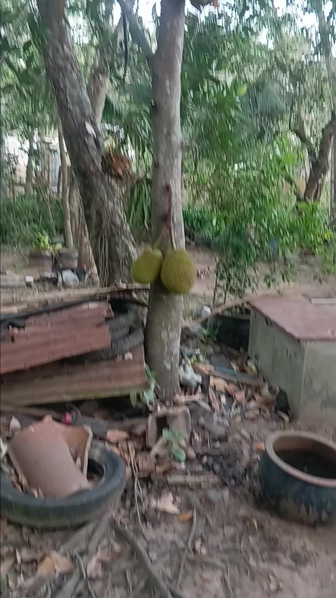 @Tạp hóa Khang Khang