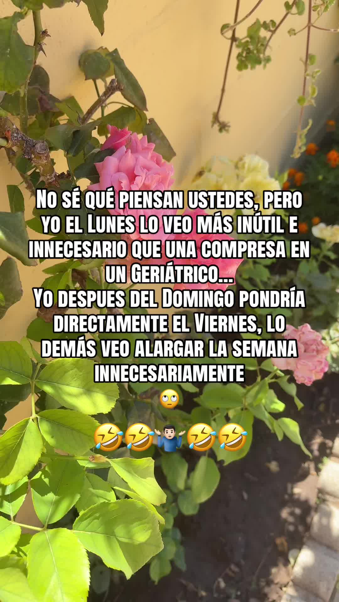 @💫Juan☄️