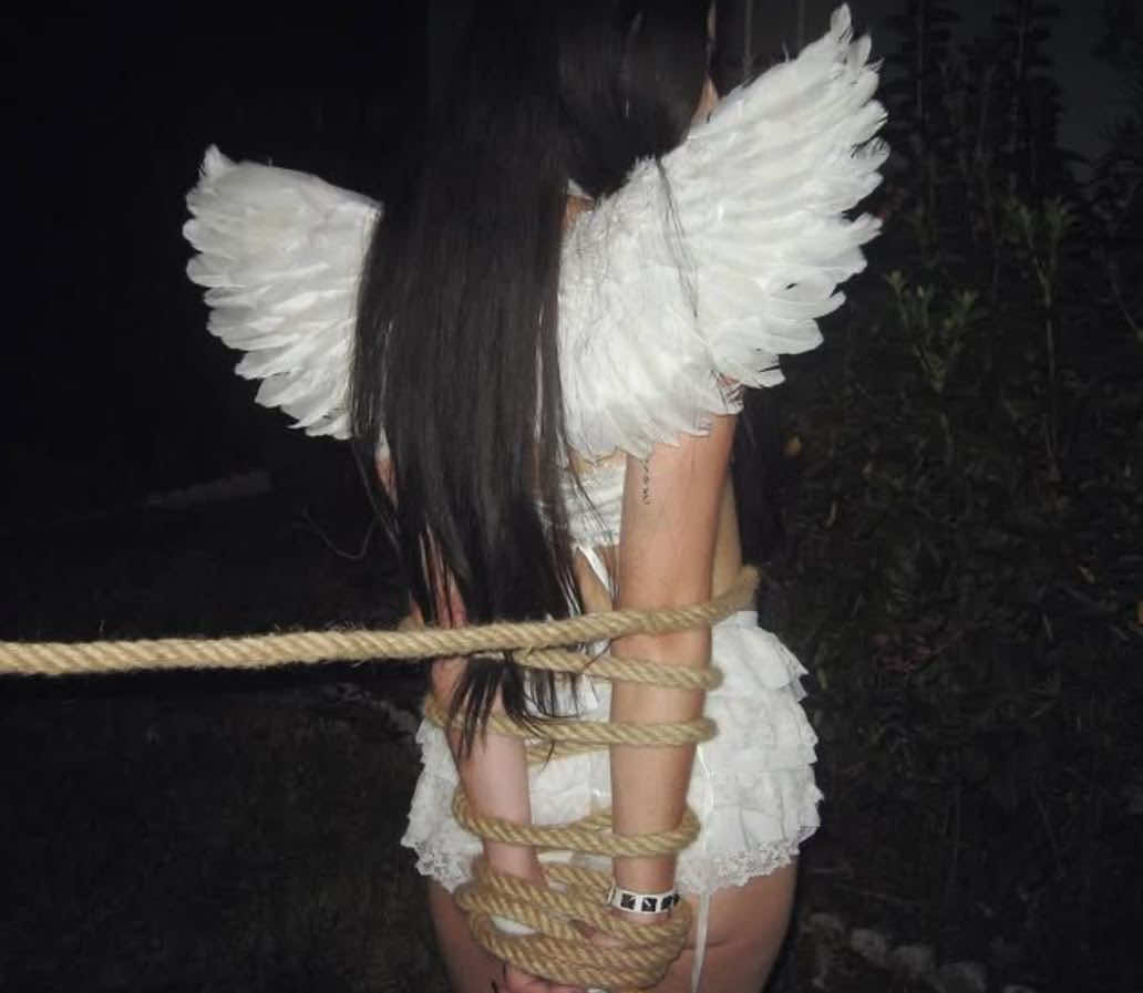@/ᐠ - ˕ -マ Ⳋ