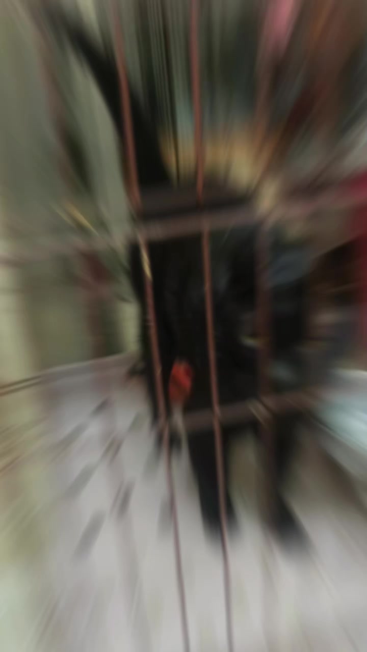 @糧巢偉-貓咪執事