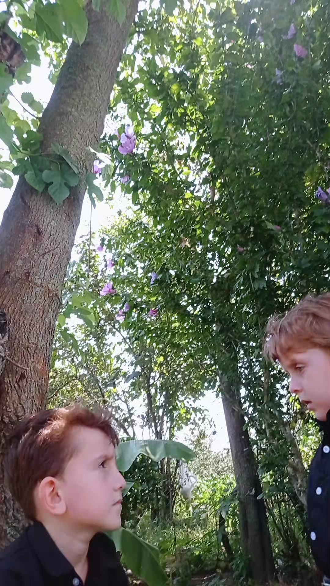 @Səccad&Mirkazim&Mikayıl