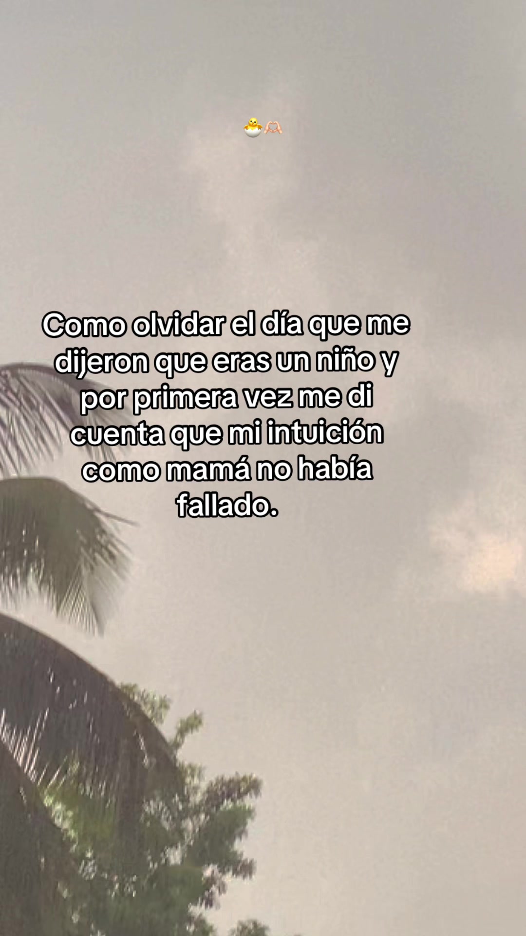 @🤷No disponible 🫤