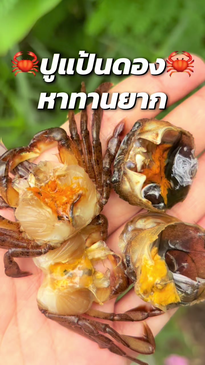 @โอนิอยากไป ( ONI ) 🍒