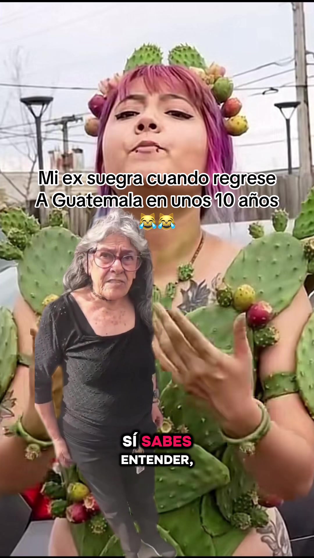 @TONY MACHADO 🐐