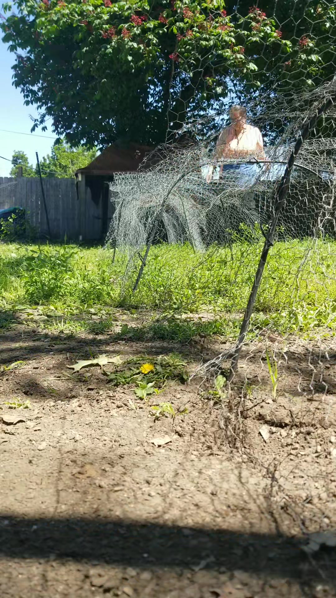 @CityChickenFarm