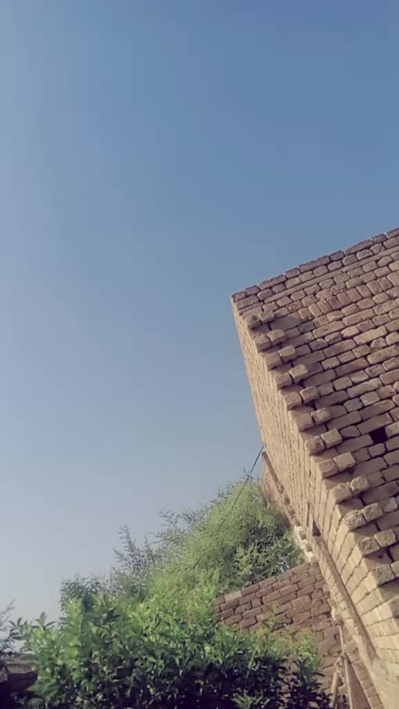 @Tariq buzdar brand