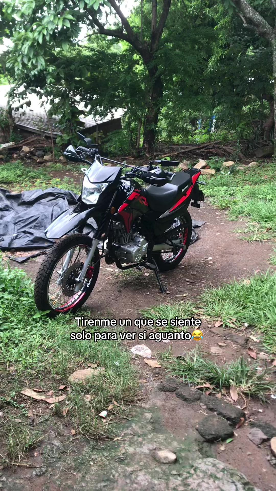 @Martinez503🇸🇻