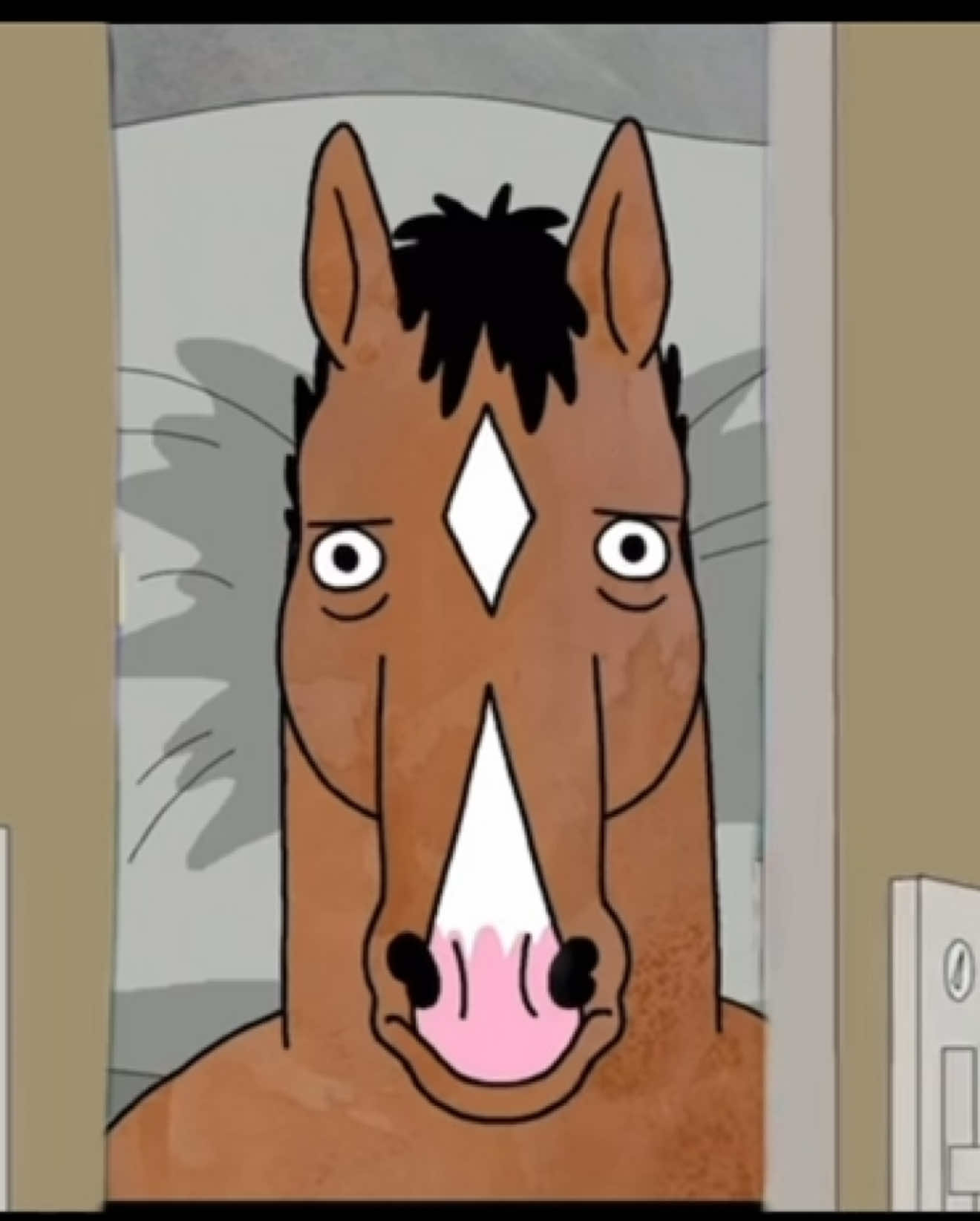 @Bojack clipz