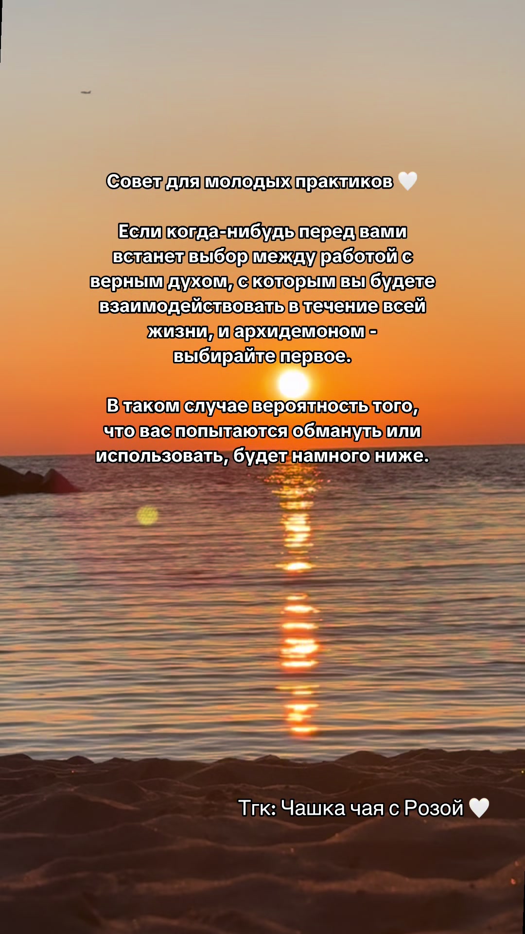 @🐉👁️ Гримуар Роуз 🩻🔮