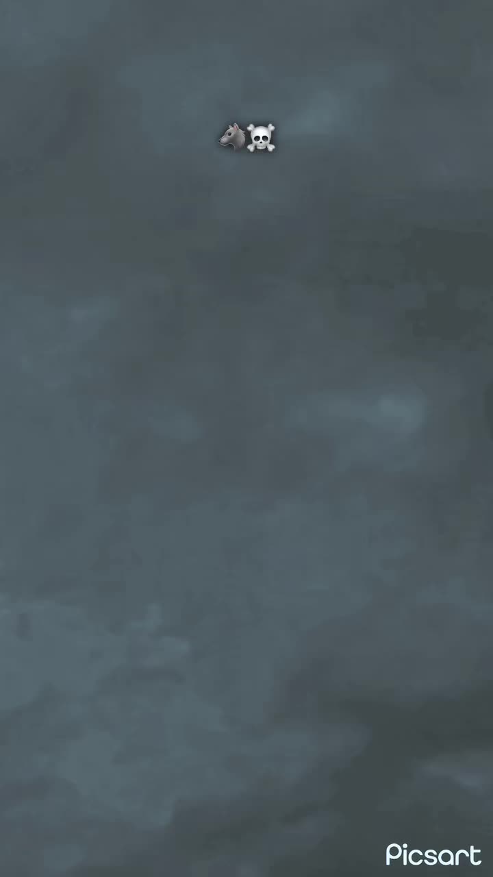 @♛○𝐋𝐚𝐥𝐢‿✶