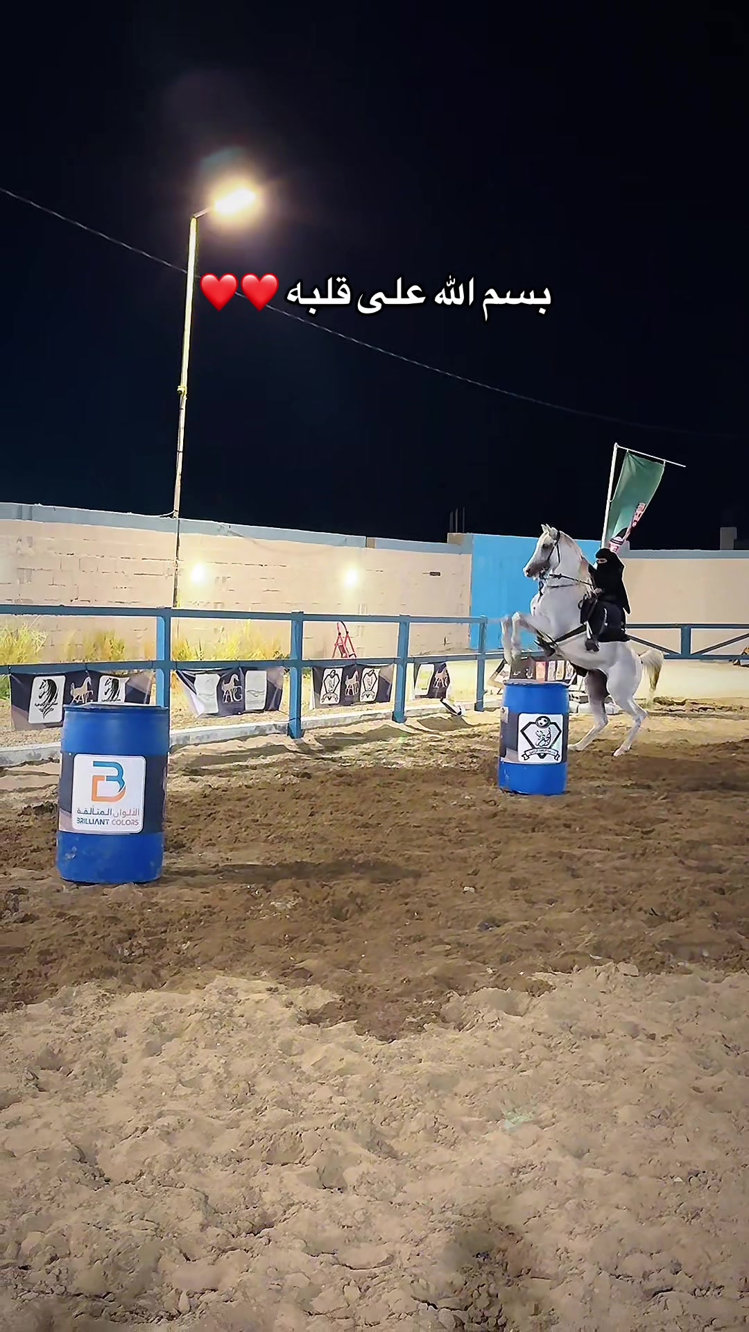 @ميكاسَا العَرب 🌟