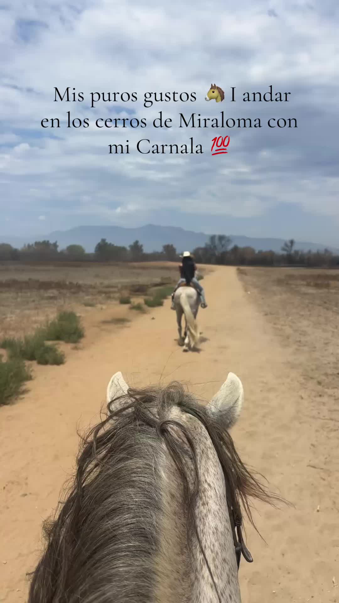 @Bella_o6🐴