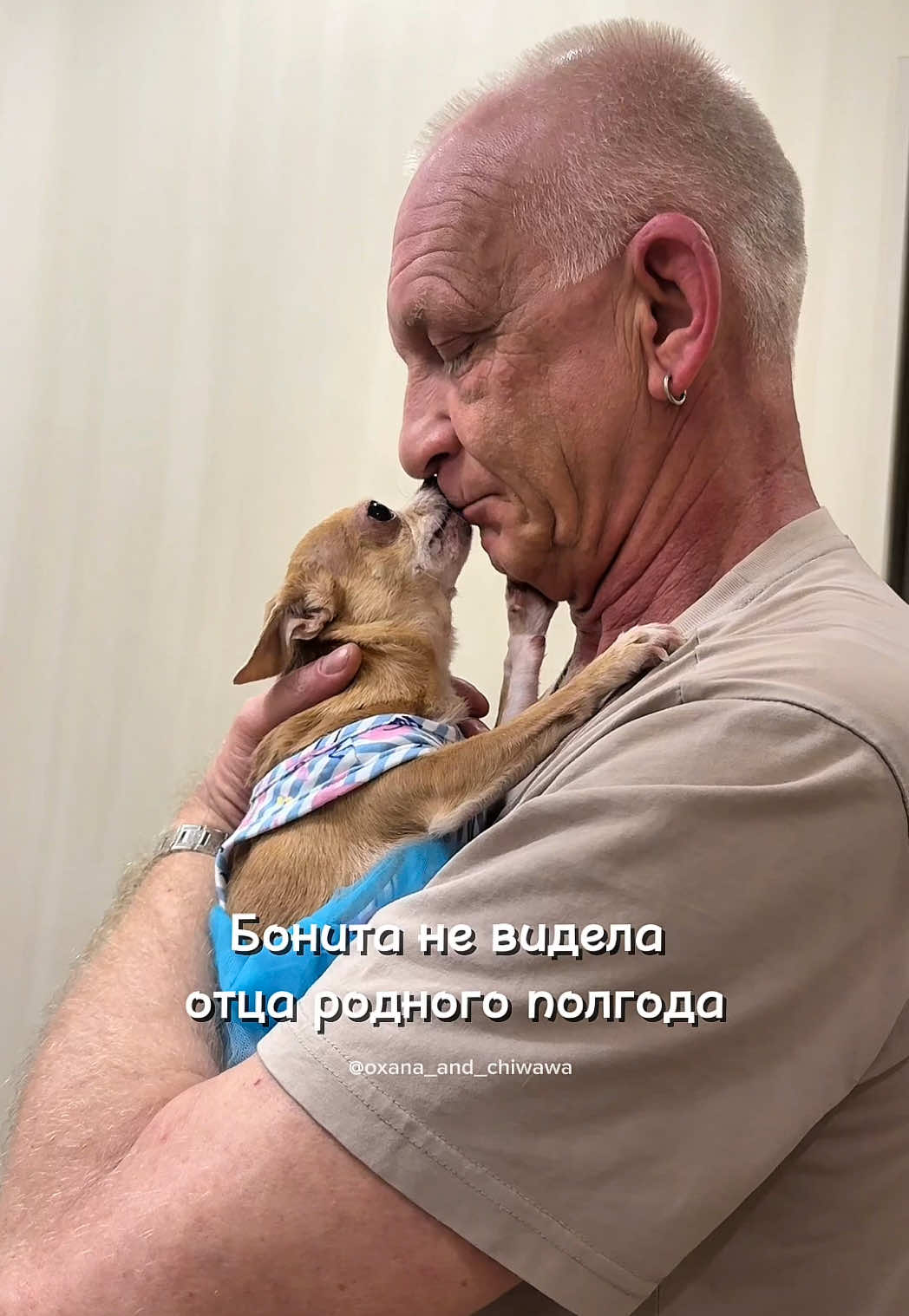@Оксана & Чихуахуа Бонита