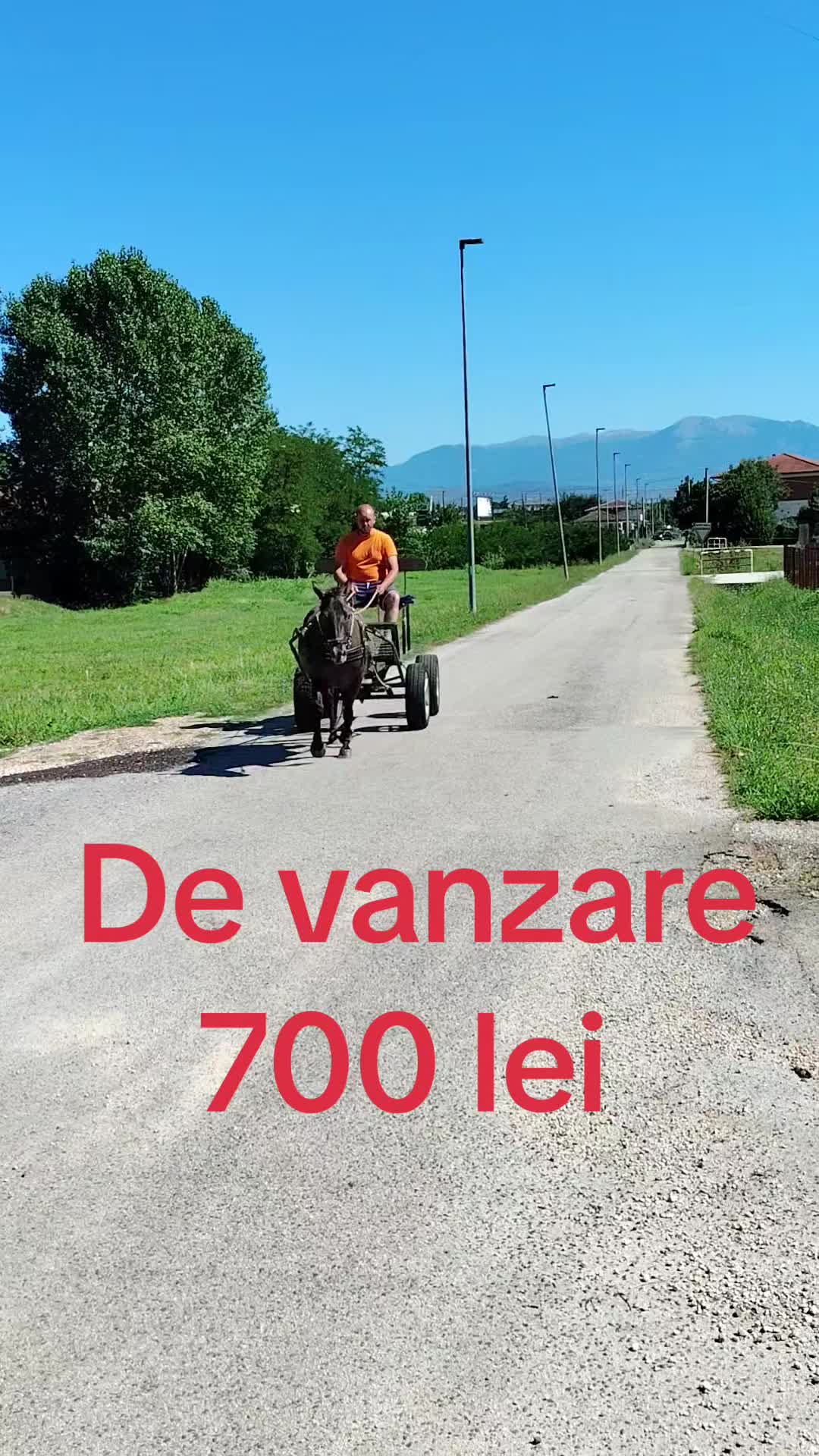 @Olaru Alex