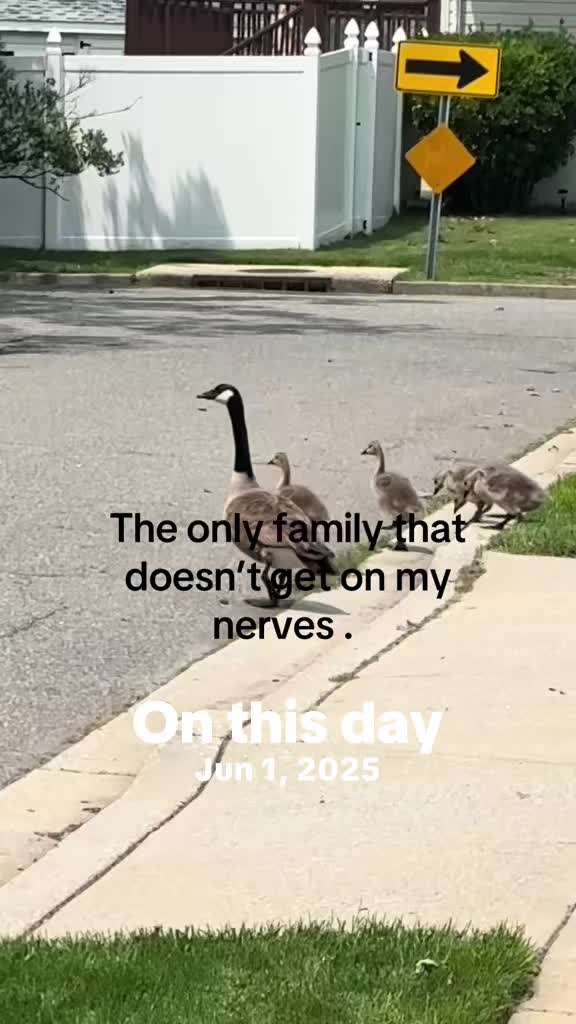@Tiktoktam