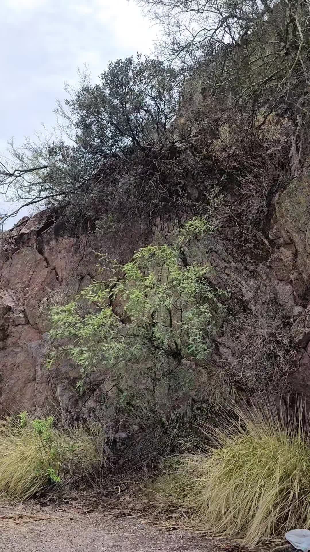@Wldflwr_Xoxo⁷