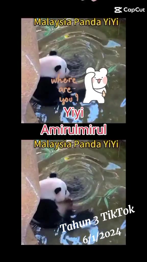 @AmirulMirul3