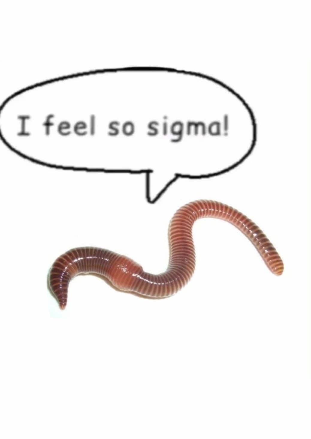 @🎧~V33~🌀