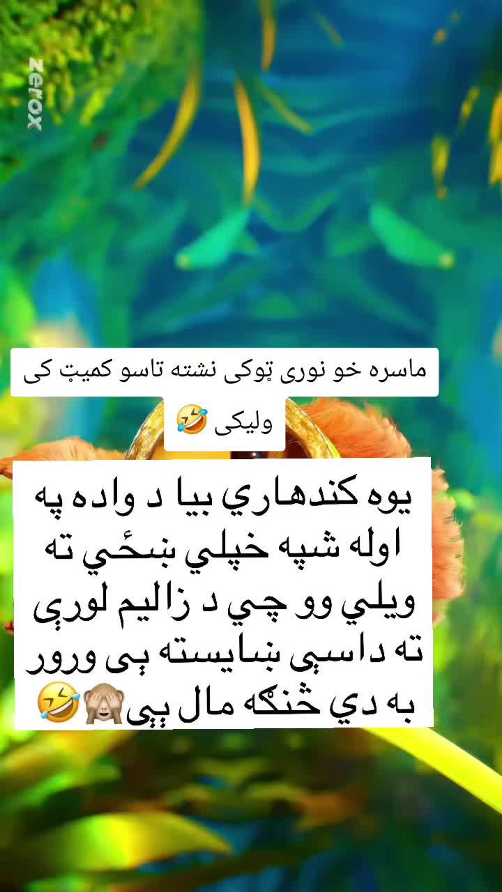@funnysmile2026