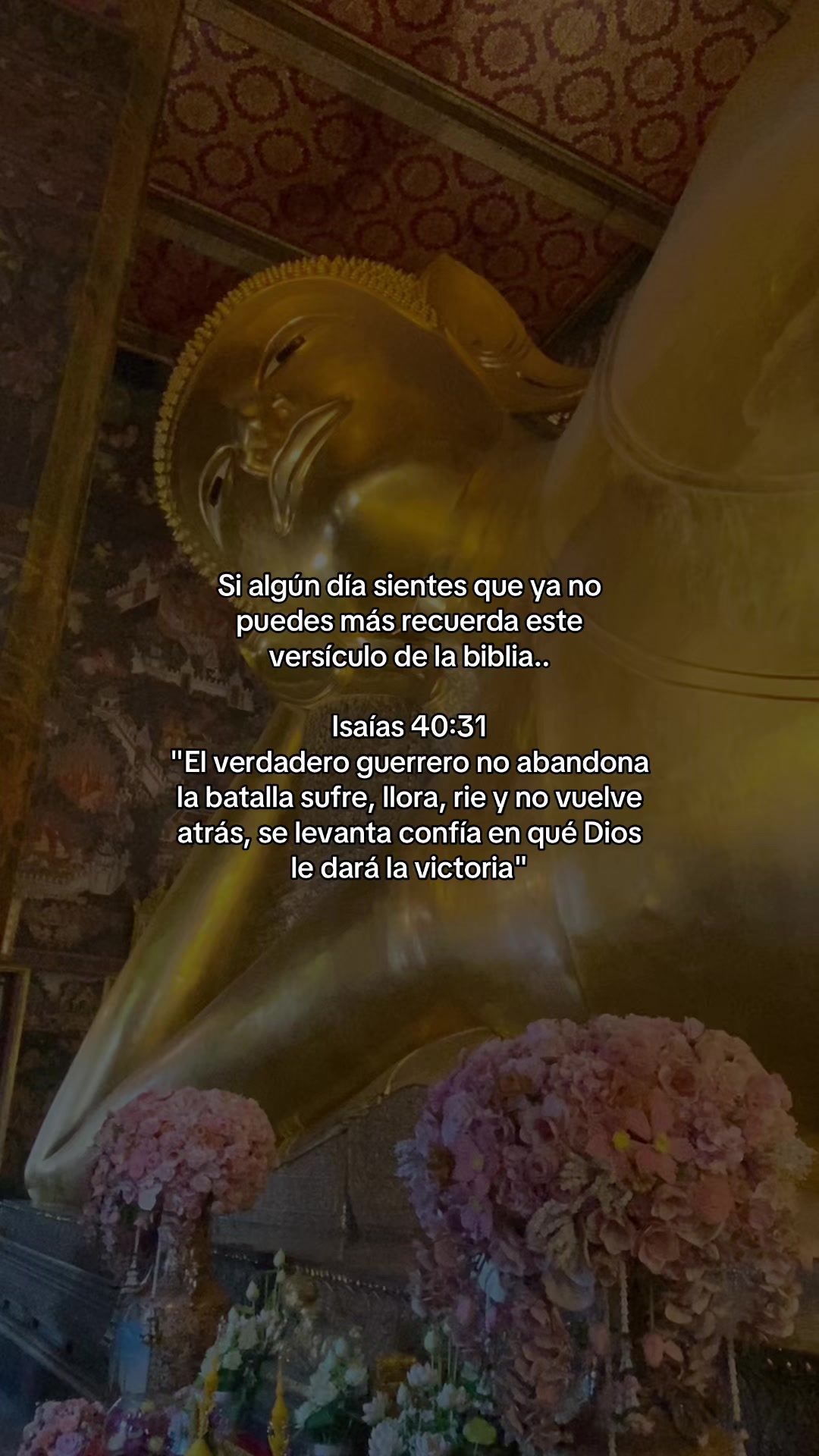 @Renacer Divino ✨ Oraciones 🙏