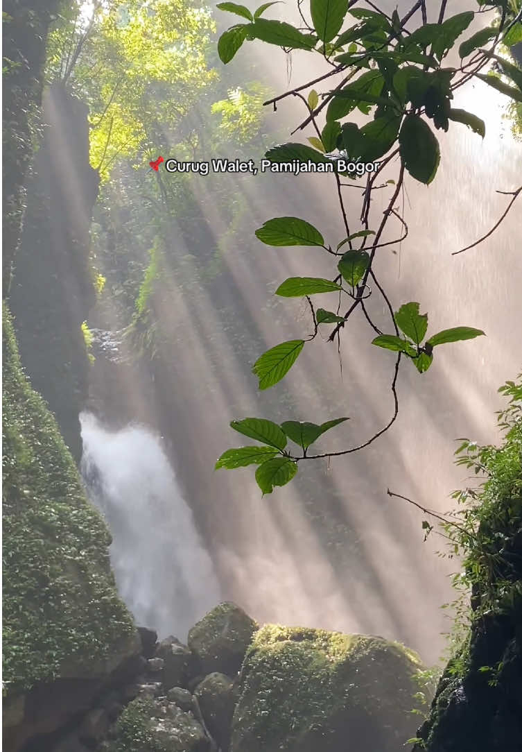@IG.indriginting_
